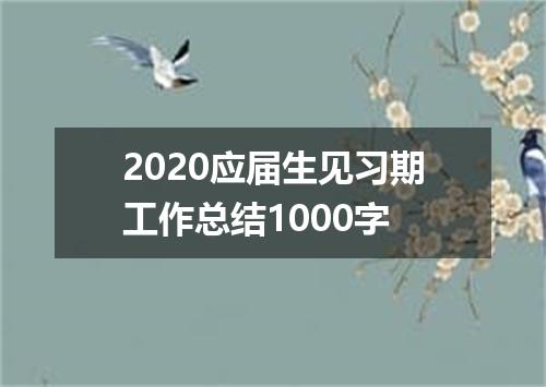 2020应届生见习期工作总结1000字