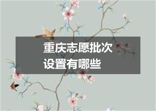 重庆志愿批次设置有哪些