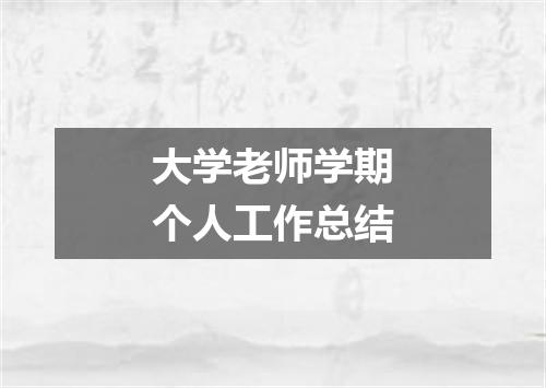 大学老师学期个人工作总结