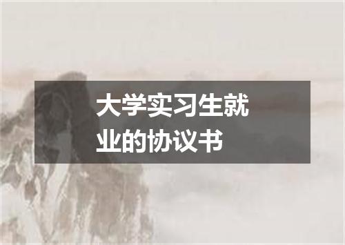 大学实习生就业的协议书