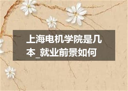 上海电机学院是几本_就业前景如何