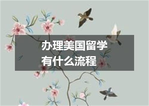 办理美国留学有什么流程