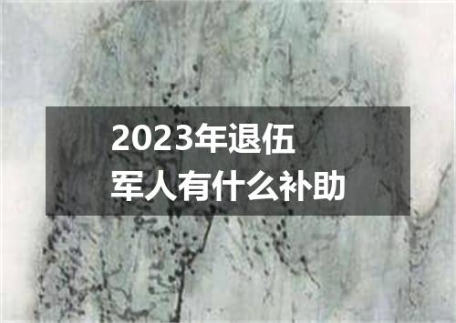 2023年退伍军人有什么补助