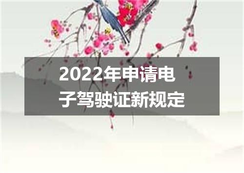 2022年申请电子驾驶证新规定