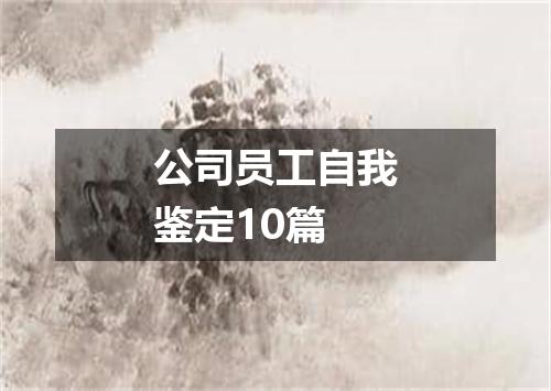 公司员工自我鉴定10篇