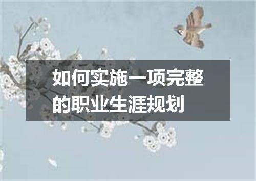 如何实施一项完整的职业生涯规划