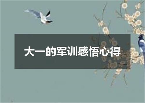 大一的军训感悟心得