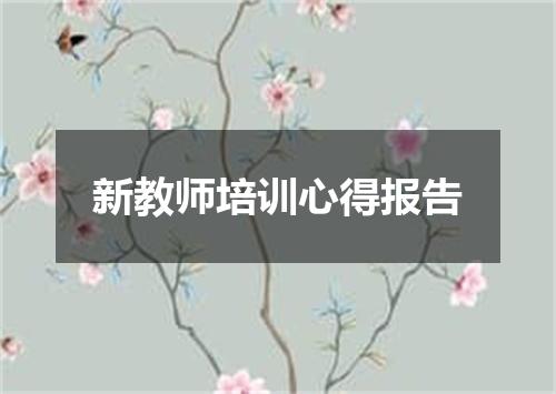 新教师培训心得报告