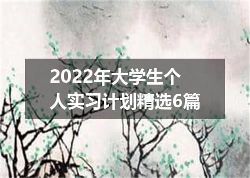 2022年大学生个人实习计划精选6篇