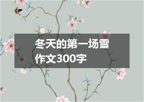 冬天的第一场雪作文300字
