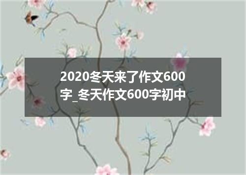 2020冬天来了作文600字_冬天作文600字初中