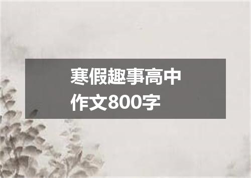寒假趣事高中作文800字