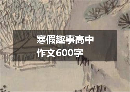 寒假趣事高中作文600字
