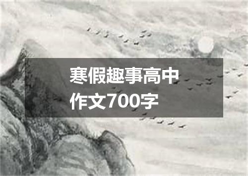 寒假趣事高中作文700字
