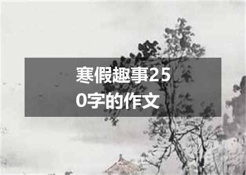 寒假趣事250字的作文