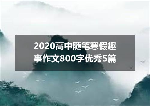2020高中随笔寒假趣事作文800字优秀5篇