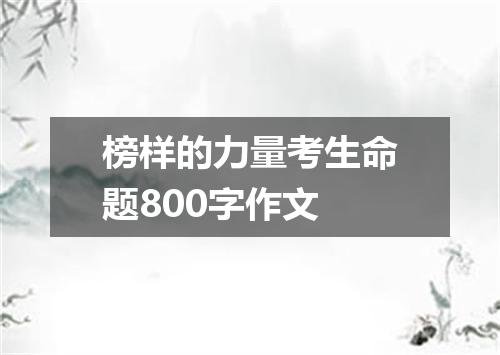 榜样的力量考生命题800字作文