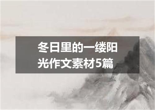 冬日里的一缕阳光作文素材5篇