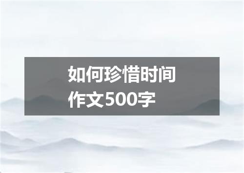 如何珍惜时间作文500字