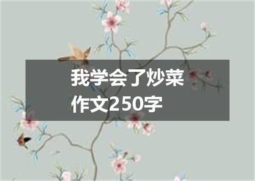 我学会了炒菜作文250字