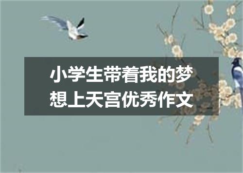 小学生带着我的梦想上天宫优秀作文