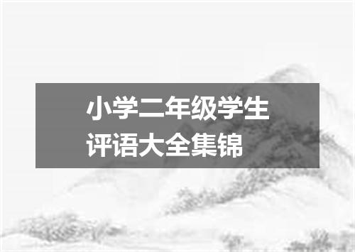 小学二年级学生评语大全集锦