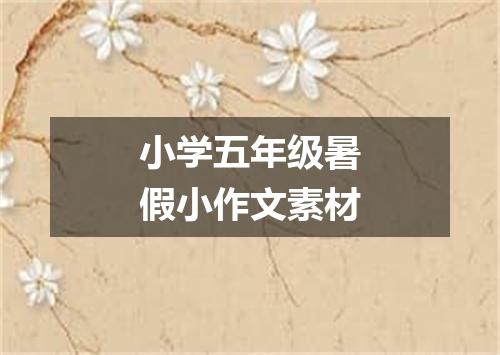 小学五年级暑假小作文素材