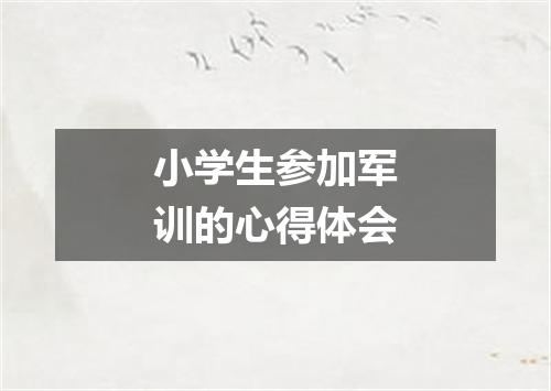 小学生参加军训的心得体会