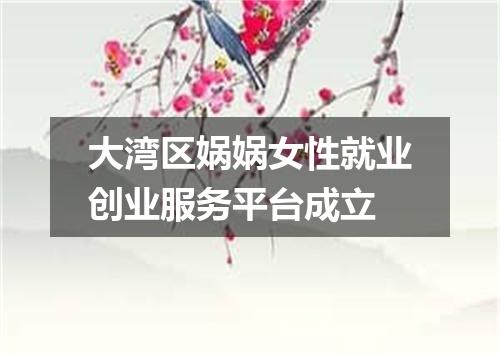 大湾区娲娲女性就业创业服务平台成立