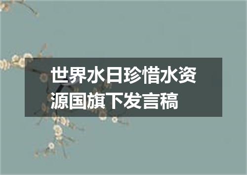 世界水日珍惜水资源国旗下发言稿
