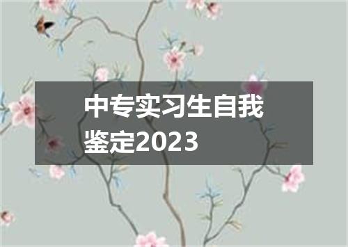 中专实习生自我鉴定2023