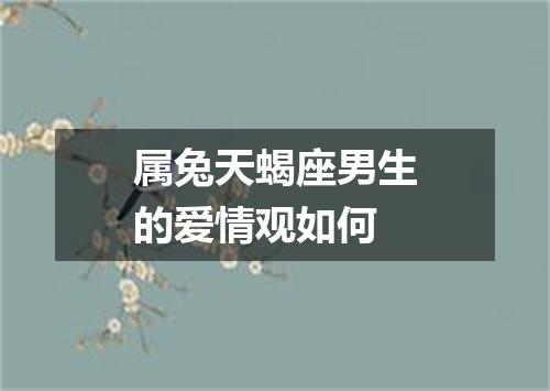属兔天蝎座男生的爱情观如何