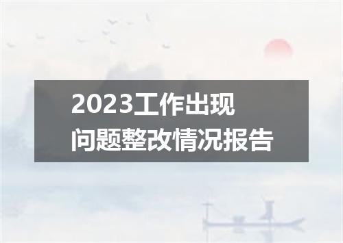 2023工作出现问题整改情况报告