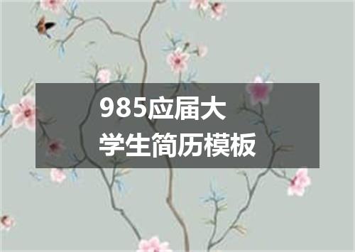985应届大学生简历模板