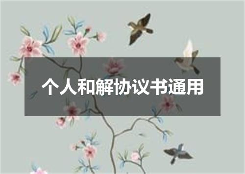 个人和解协议书通用