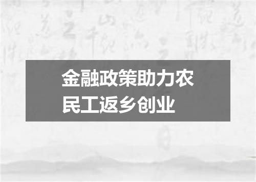 金融政策助力农民工返乡创业