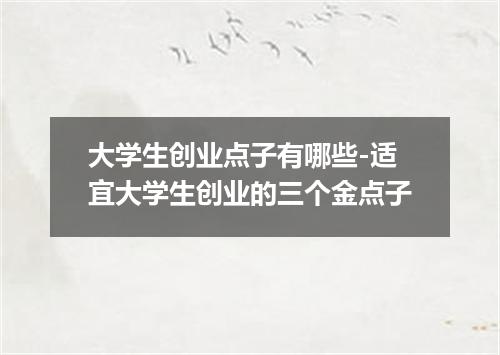 大学生创业点子有哪些-适宜大学生创业的三个金点子