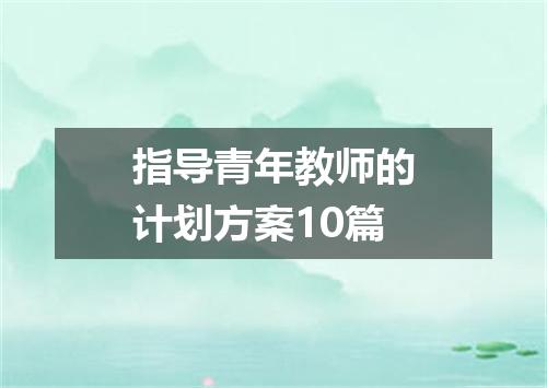 指导青年教师的计划方案10篇