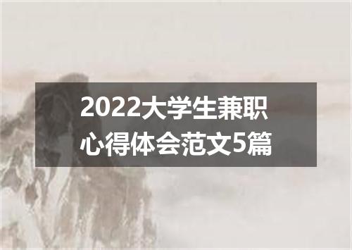 2022大学生兼职心得体会范文5篇
