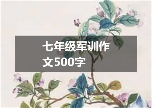 七年级军训作文500字