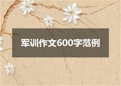 军训作文600字范例