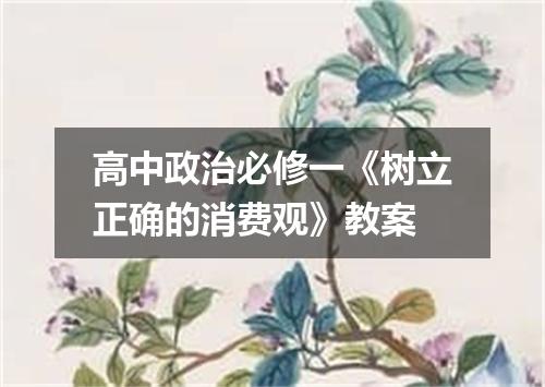 高中政治必修一《树立正确的消费观》教案