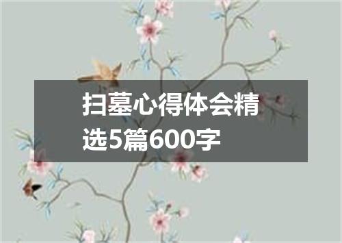 扫墓心得体会精选5篇600字