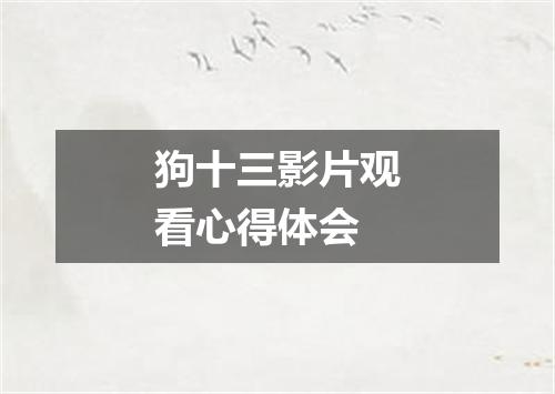 狗十三影片观看心得体会