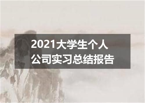 2021大学生个人公司实习总结报告