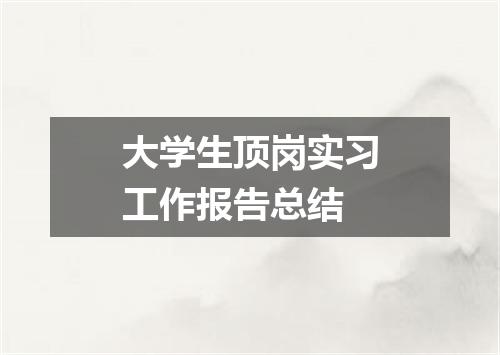 大学生顶岗实习工作报告总结