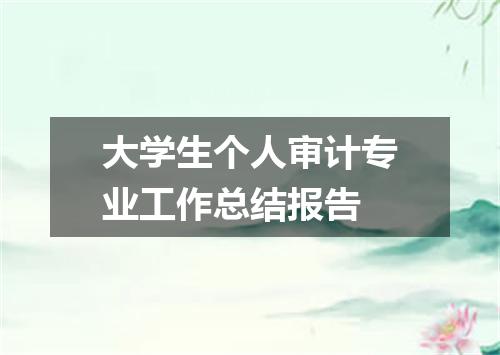 大学生个人审计专业工作总结报告
