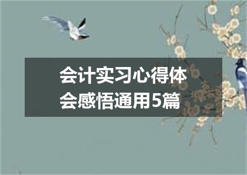 会计实习心得体会感悟通用5篇