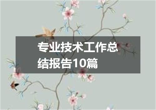 专业技术工作总结报告10篇