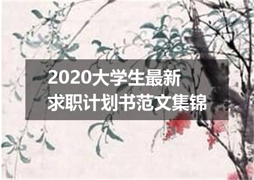 2020大学生最新求职计划书范文集锦
